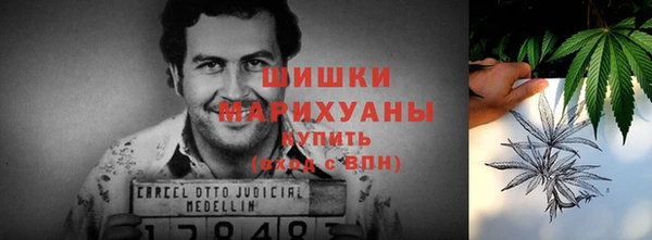 стафф Корсаков