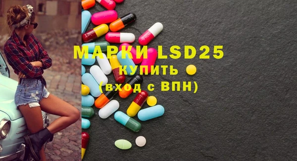ECSTASY Лагань