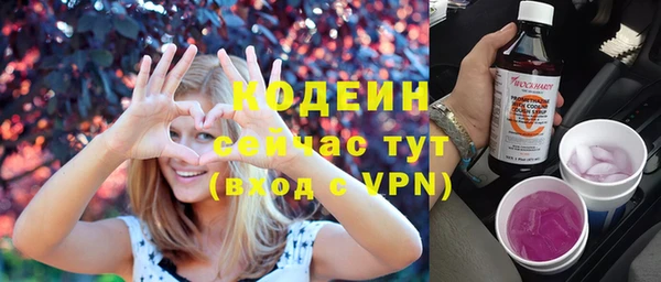 гашик Куйбышев